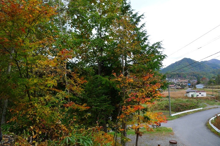 a0130586_1055375.jpg
