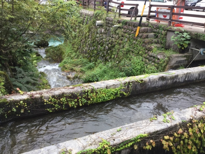 f0268294_17112313.jpg