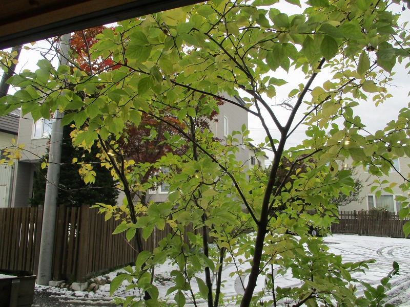 f0202703_130378.jpg
