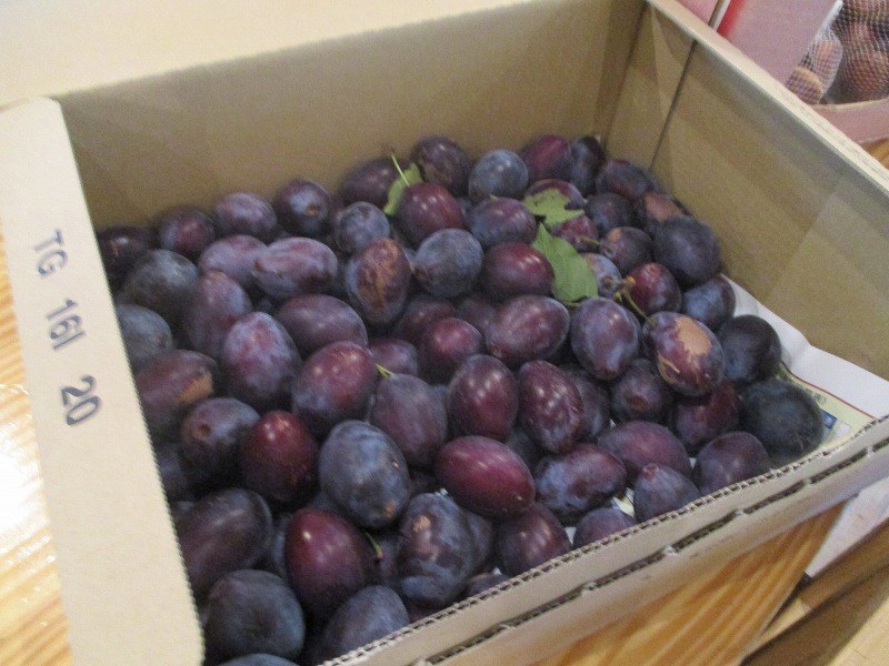 f0202703_2283545.jpg