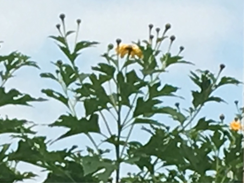 a0098418_12574057.jpg