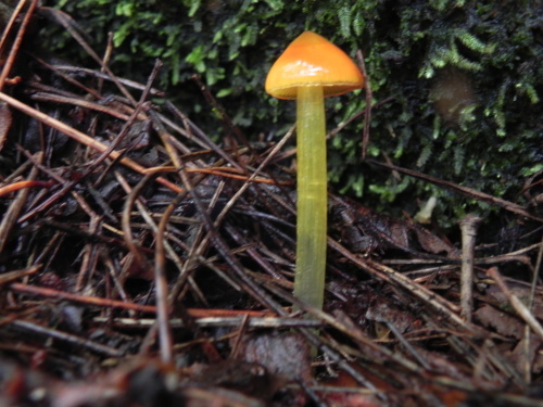 e0352220_23123040.jpg