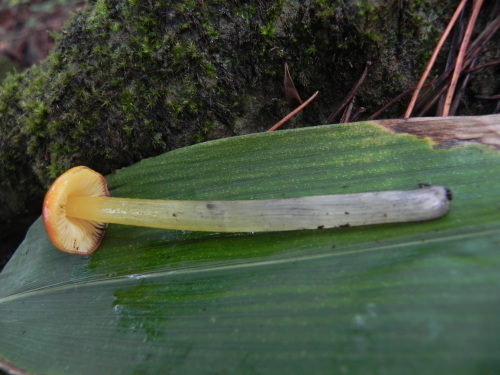 e0352220_23134492.jpg
