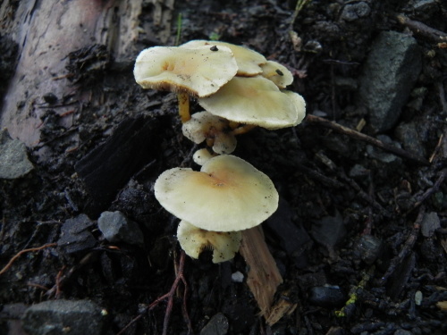 e0352220_23183712.jpg