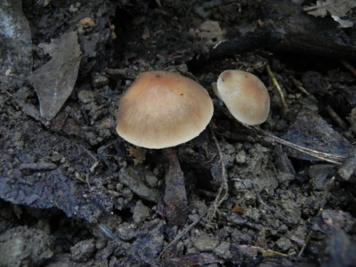 e0352220_23190879.jpg