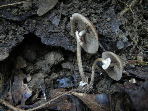 e0352220_23192280.jpg