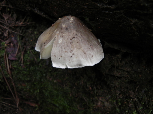 e0352220_23241746.jpg