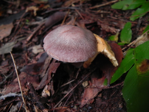 e0352220_23245519.jpg