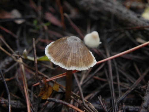 e0352220_23252734.jpg