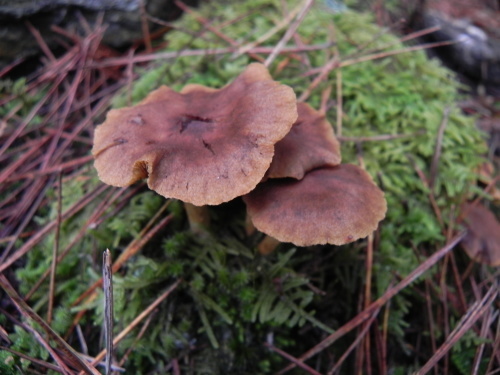 e0352220_23255788.jpg