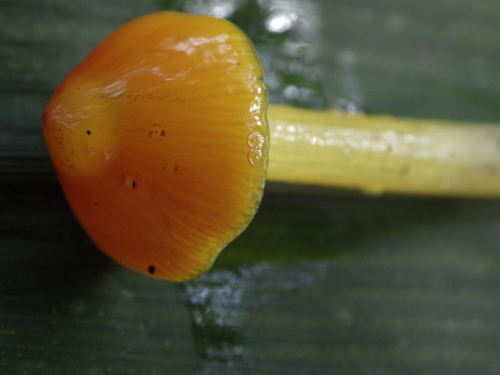 e0352220_23461374.jpg