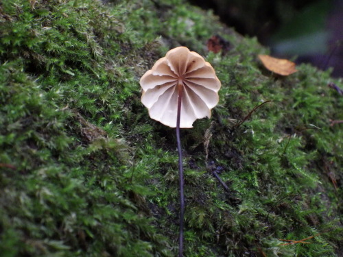 e0352220_23495401.jpg