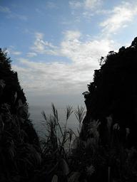 c0311729_22374055.jpg