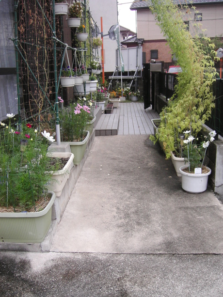 b0165233_17541580.jpg