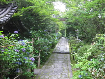 f0141840_02255445.jpg