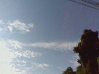 e0150843_0313867.jpg
