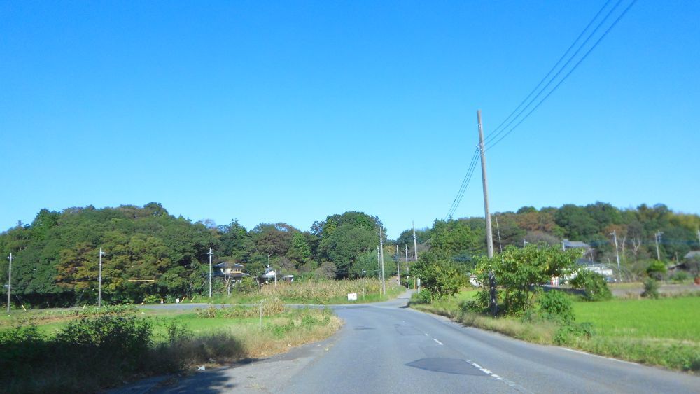 e0086244_20114282.jpg