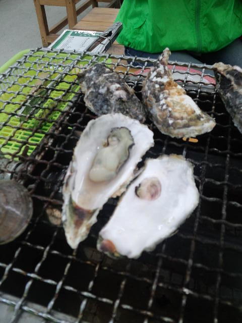 c0215945_22511470.jpeg