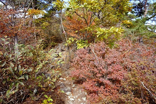 b0122448_12252068.jpg