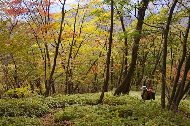 b0122448_12291810.jpg