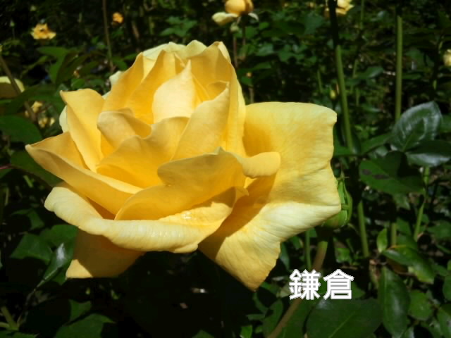 b0009849_1872266.jpg