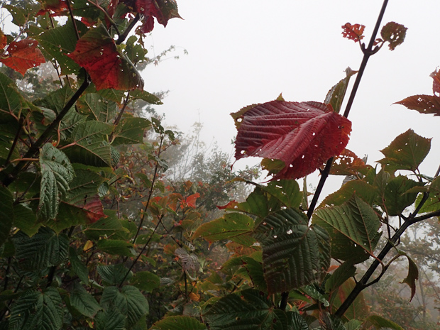 f0214649_14214413.jpg
