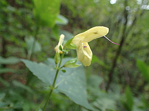 f0214649_43809.jpg