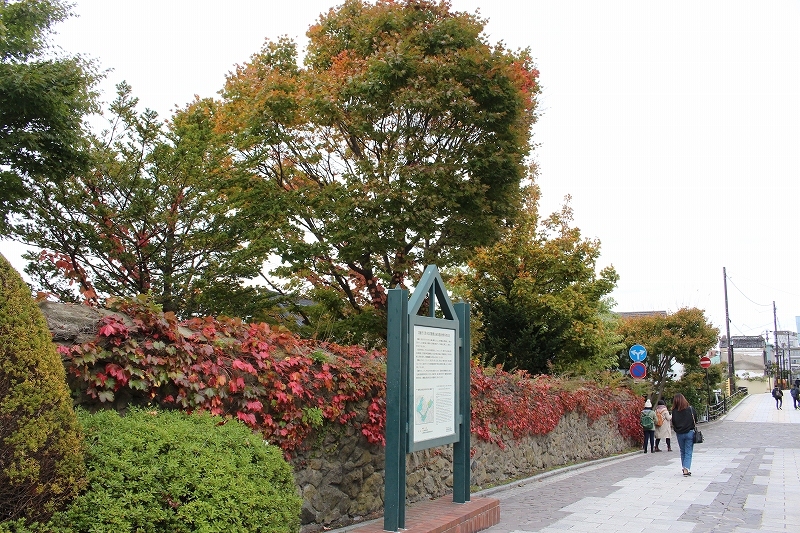 b0250154_23112693.jpg