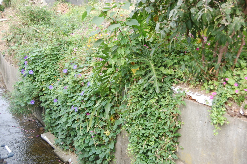 c0108460_20092954.jpg