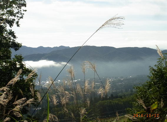 b0075364_18214592.jpg