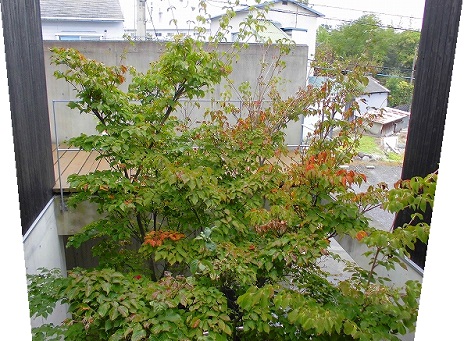 e0002466_2171375.jpg