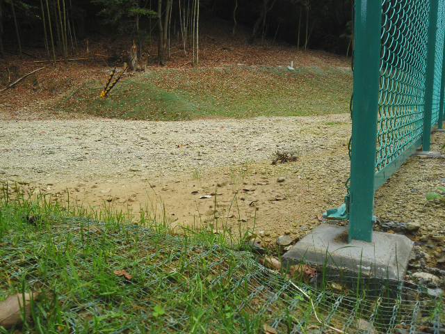 f0061067_22381031.jpg