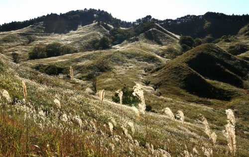 c0362972_14053737.jpg