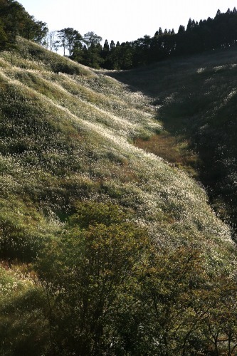 c0362972_14092919.jpg