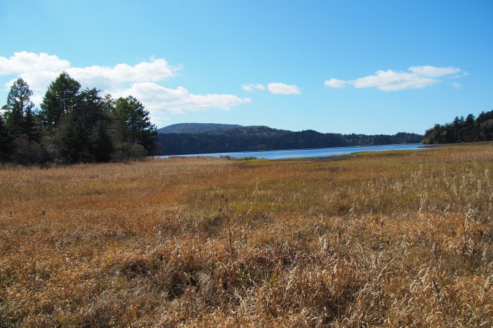 e0307372_11482537.jpg