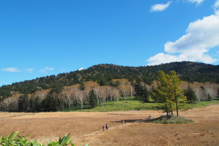 e0307372_11581125.jpg