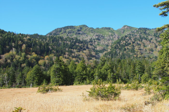 e0307372_15040142.jpg