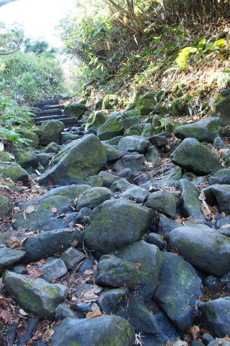 e0307372_16131457.jpg