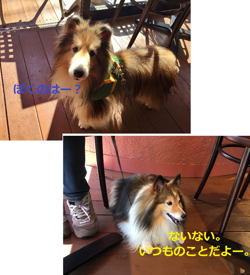 a0157174_19541591.png