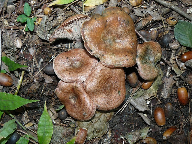 d0019074_8204891.jpg