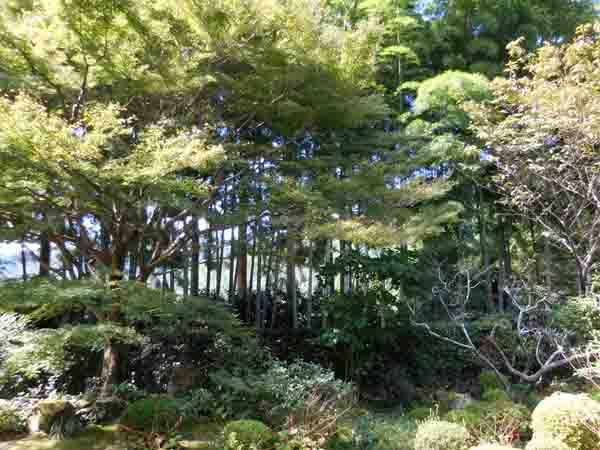 a0045381_17424512.jpg