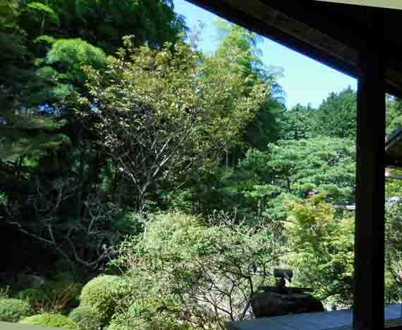 a0045381_17431544.jpg