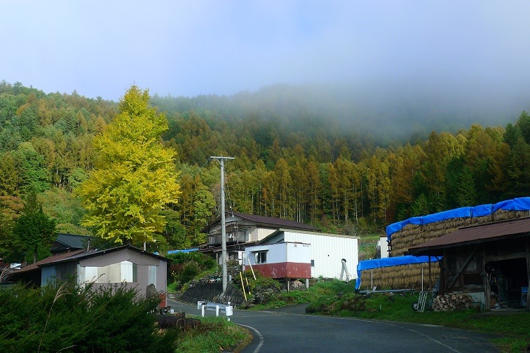 a0130586_9343336.jpg