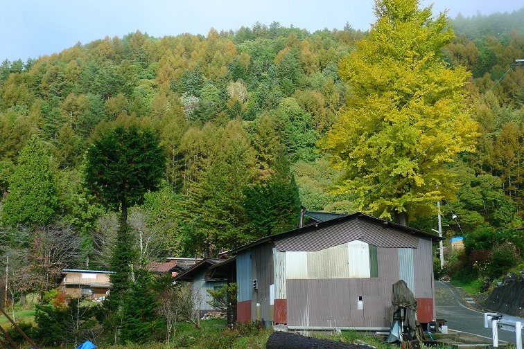 a0130586_9361038.jpg