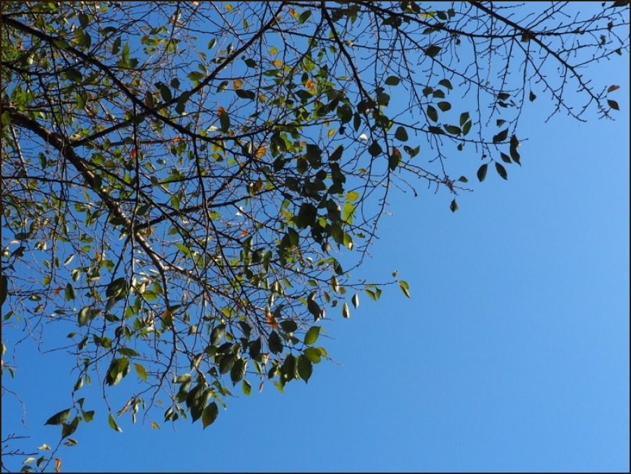 c0228386_02242456.jpg