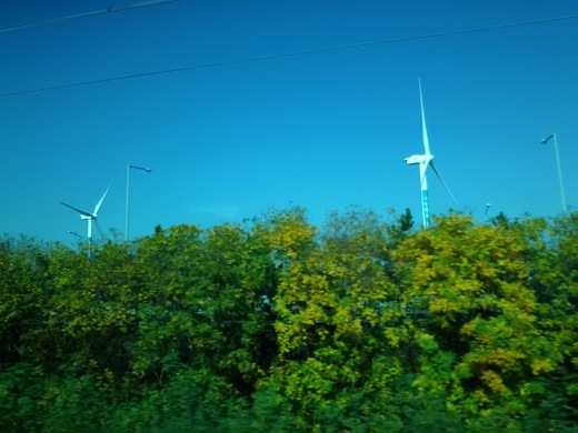 b0003089_17215255.jpg