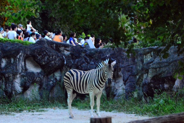 f0373905_15385294.jpg
