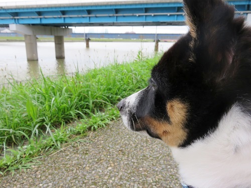 c0084117_2022015.jpg