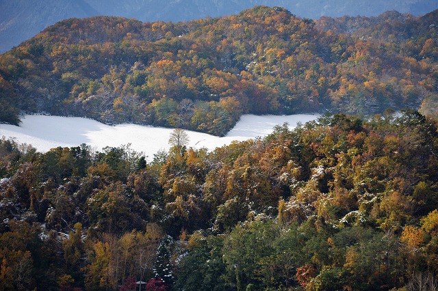 f0373120_1031375.jpg