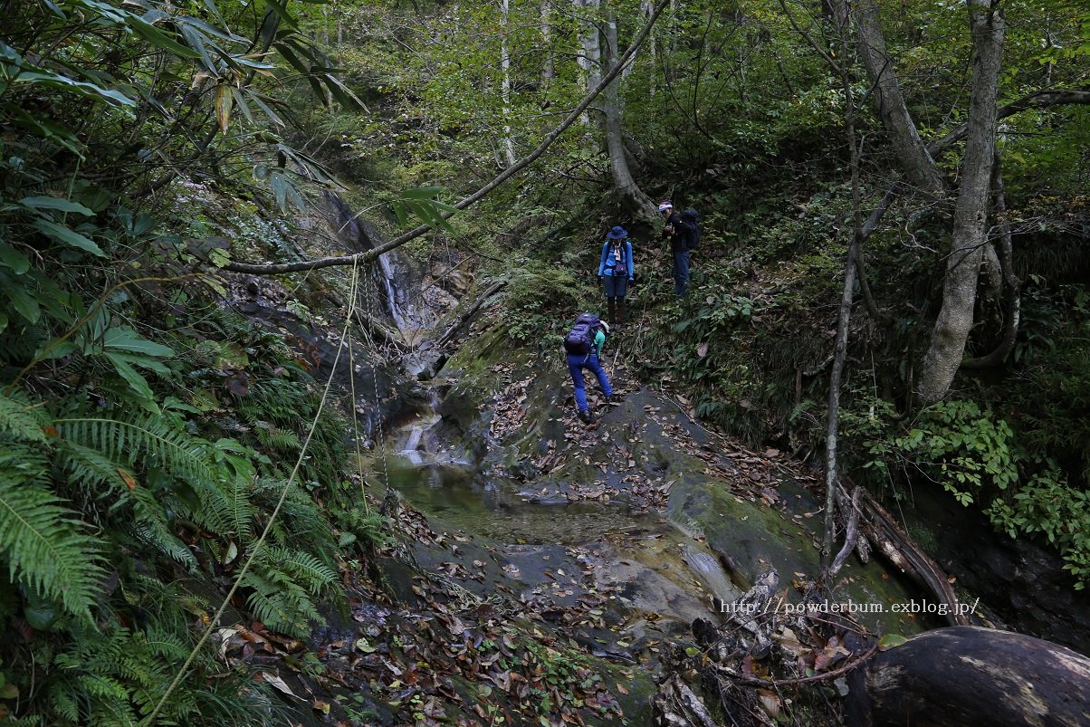 b0062024_2240772.jpg